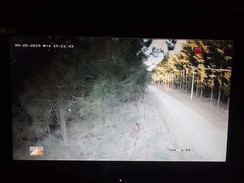 Imagen nocturna captada por cámara